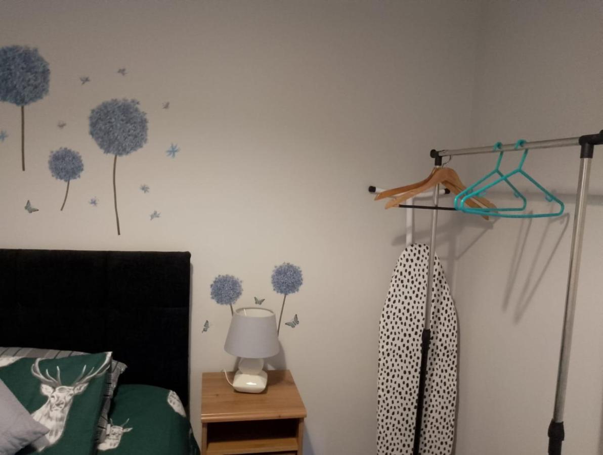 Maire Toireasa - Cosy Refurbished Property In The Gaeltacht Quarter Belfast Esterno foto
