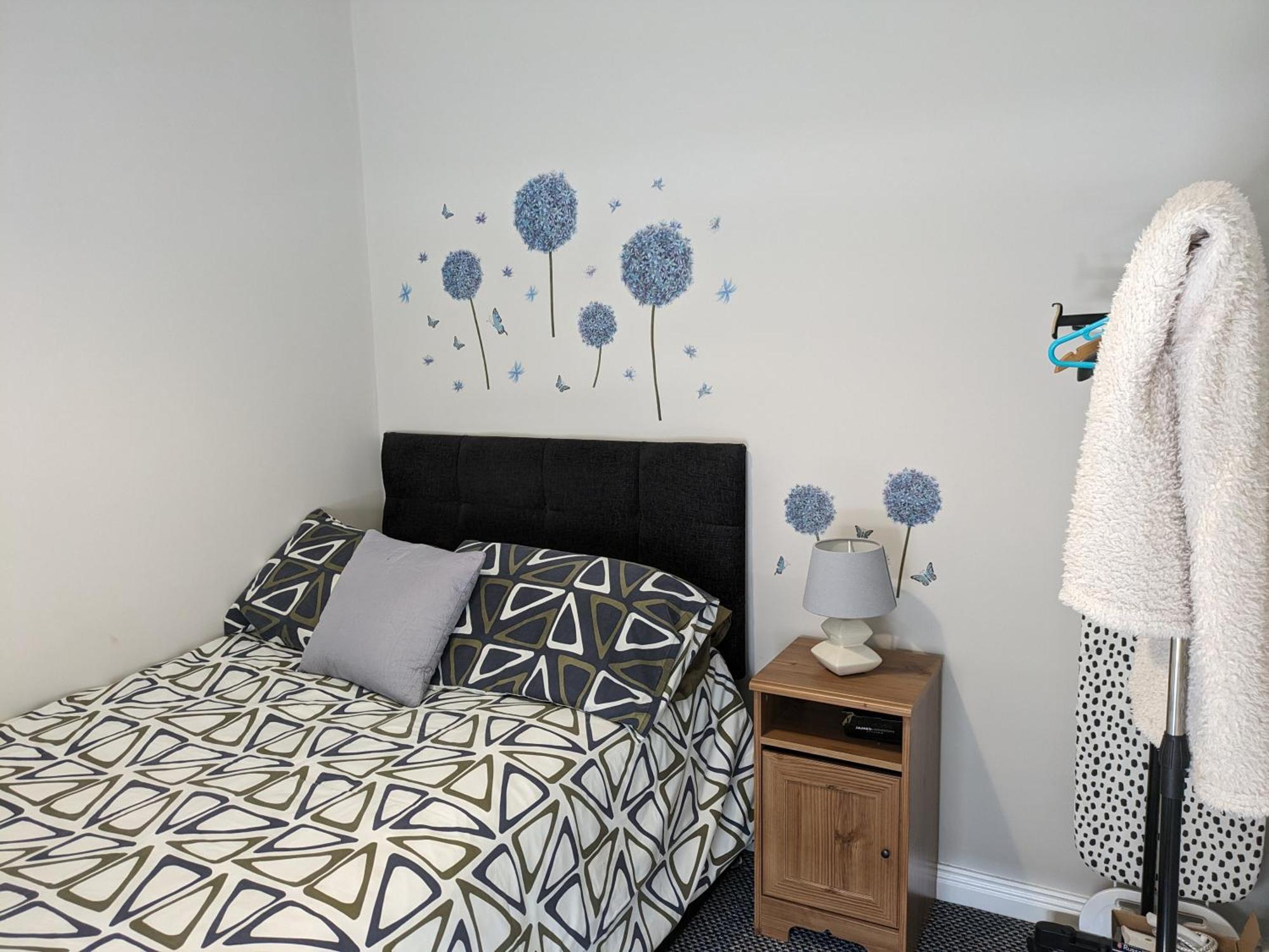 Maire Toireasa - Cosy Refurbished Property In The Gaeltacht Quarter Belfast Camera foto